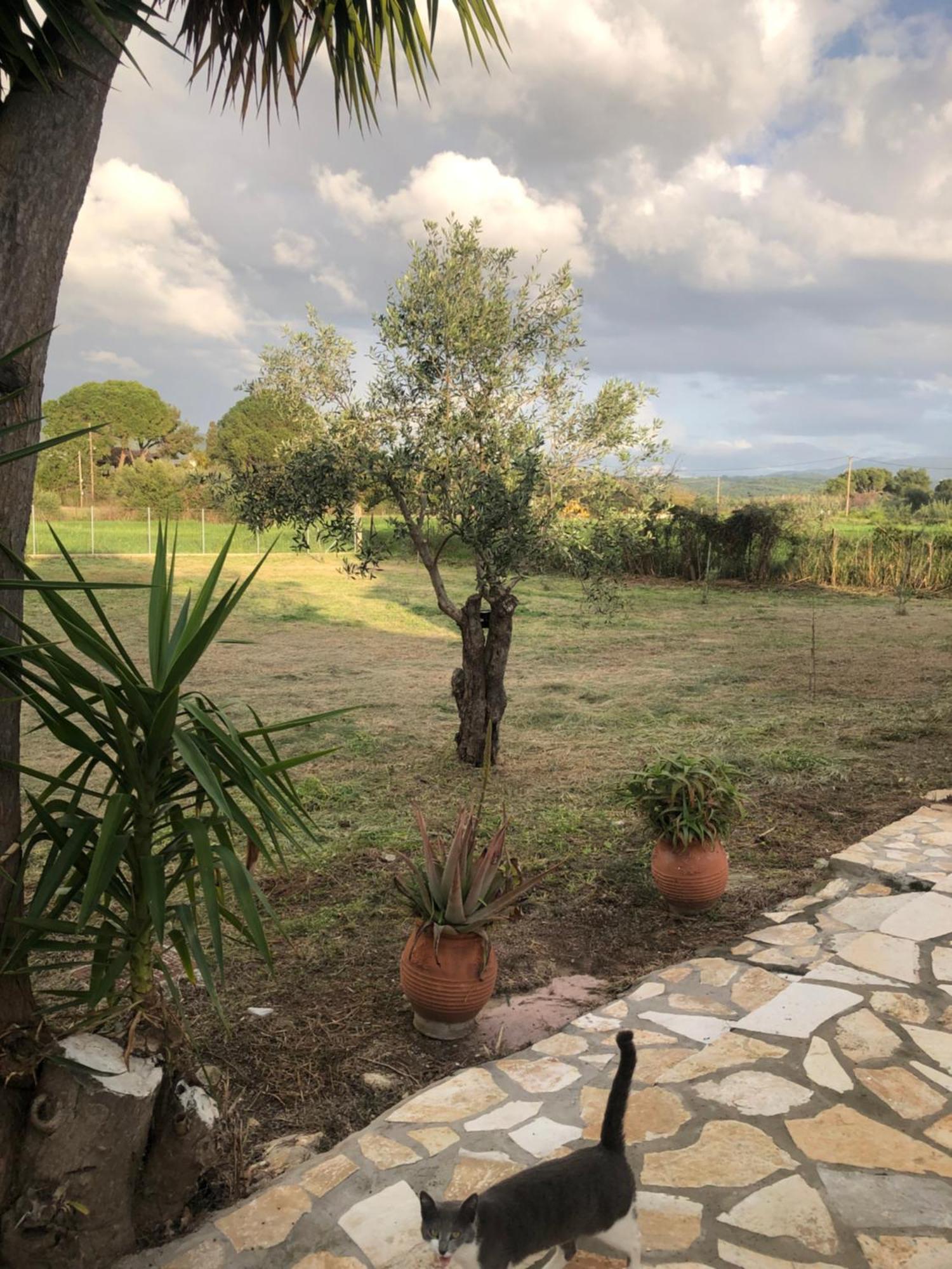 Seaside Retreat House Villa Kakovatos Luaran gambar